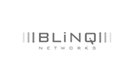 BLINQ Networks Inc. logo