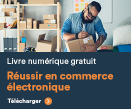 Livre numérique gratuit: réussir en commerce électronique