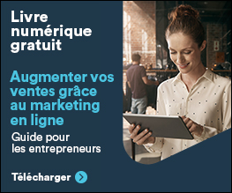 Livre numérique gratuit: Augmenter vos ventes grâce au marketing en ligne