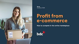 Profit from Ecommerce, an entrepreneur guide