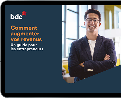 comment augmenter vos revenus, un guide pour entrepreneurs