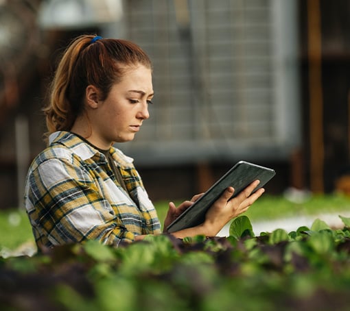 Évaluer votre impact environnemental