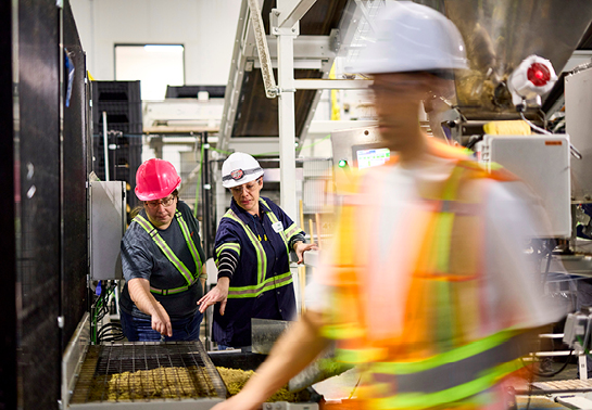 3 employees working in a food factory