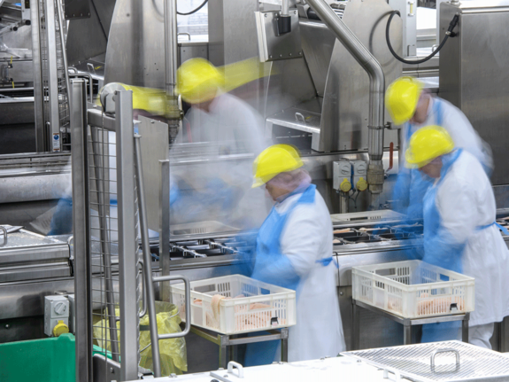 People wearing blue outfit with yellow helmets working in a food chain