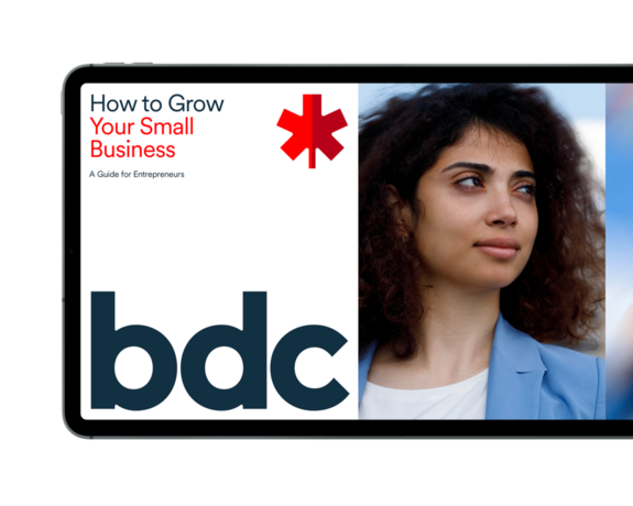 Cover from How to Grow Your Small Business: A guide for entrepreneurs