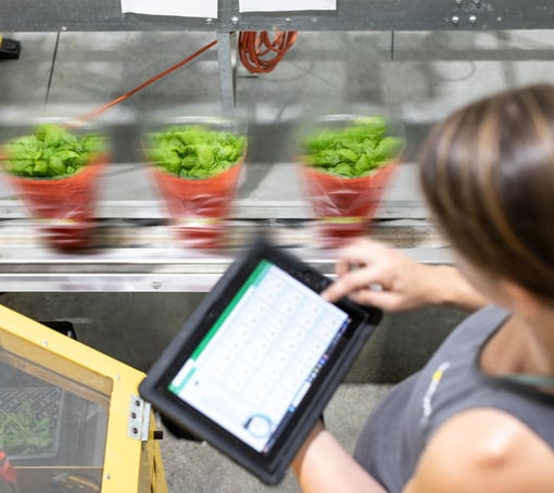 Gourma employee using a tablet to enter data in a dashboard